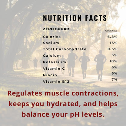 Elovate 15 Zero Sugar Electrolyte Drink Mix - Balanced Hydration Powder Packets 3g Per Stick, Lime Mint Flavor (Pack of 25)