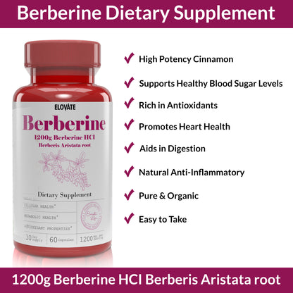 Berberine 1200mg – High-Potency Herbal Supplement for Blood Sugar, Metabolism & Heart Health (120 Capsules)