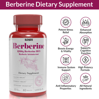 Berberine 1200mg – High-Potency Herbal Supplement for Blood Sugar, Metabolism & Heart Health (120 Capsules)
