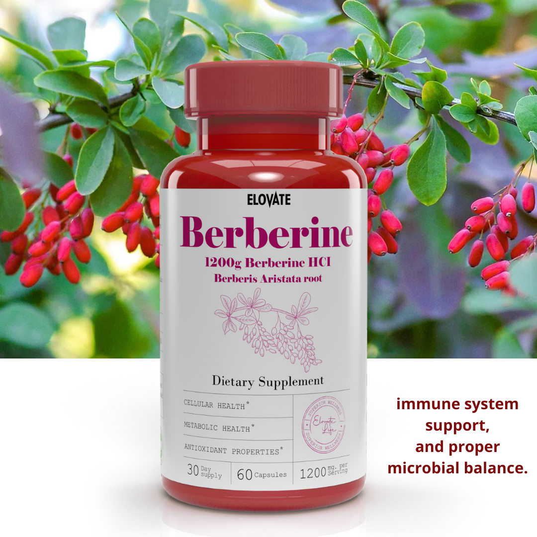 Elovate 15 Berberine HCI Berberis Aristata Root Capsules - Fast Acting Herbal Supplement for Blood Sugar Balance, Metabolism, Heart Health, and Daily Wellness Support for Men and Women - Natural, High Absorption, 1200mg (60 Day Supply, 60 Capsules)