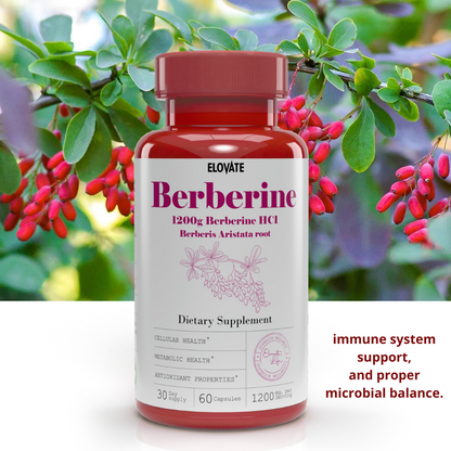 Berberine 1200mg – High-Potency Herbal Supplement for Blood Sugar, Metabolism & Heart Health (120 Capsules)